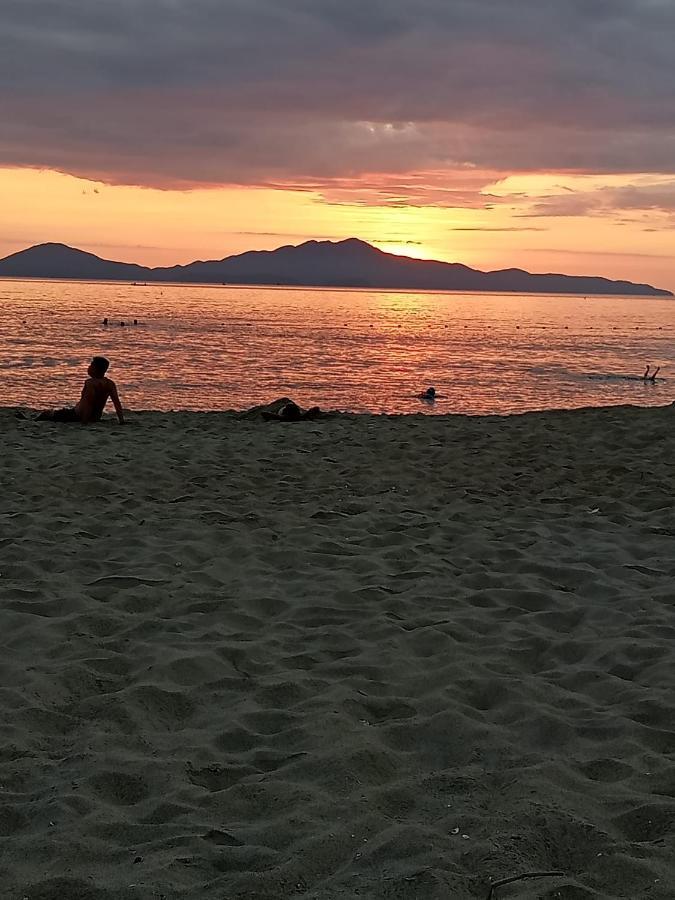 Pearl Beach Homestay Hoi An Eksteriør bilde